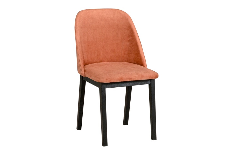 Jídelní židle MONTI 1 dřevo: černá, potahový materiál: látka